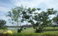 Amverton Cove Golf & Island Resort